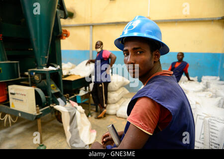 Le BURKINA FASO, Bobo Dioulasso, société Nafaso la production de semences hybrides et du commerce, semences de riz hybride / hybride Reis Saatgut, Saatgutherstellung Nafaso der Firma und Reisreinigungsanlage mobile Banque D'Images