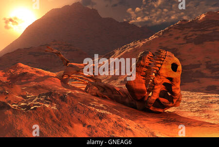 Un Tyrannosaure squelette fossile. Banque D'Images