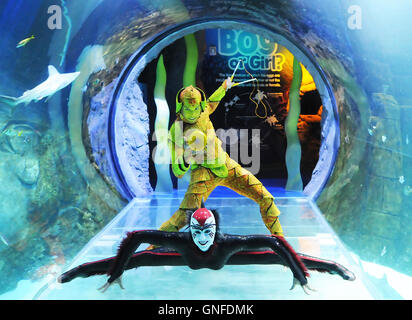 Orlando, Floride, USA. 30 août, 2016. Les artistes du Cirque du Soleil Wei-Liang Lin de Taïwan (en haut) et Alanna Baker du Royaume-uni posent à l'intérieur d'un tunnel au SEA LIFE Aquarium d'Orlando à Orlando, Floride, le 30 août 2016. L'événement médiatique a eu lieu afin de promouvoir la Floride première du spectacle du Cirque du Soleil "OVO", avec des spectacles programmés dans Orlando, Estero, et Jacksonville début Septembre 21, 2016. L 'OVO' cast est composé de 50 artistes du spectacle acrobatique de 12 pays. Crédit : Paul Hennessy/Alamy Live News Banque D'Images