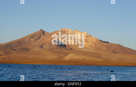 Cerro Quisiquisini et Laguna Chungara, Parc National Lauca, Chili Banque D'Images