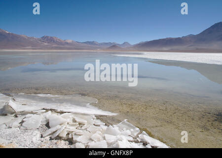 Laguna Blanca avec glace, dans le sud-ouest des Andes Bolivie Banque D'Images