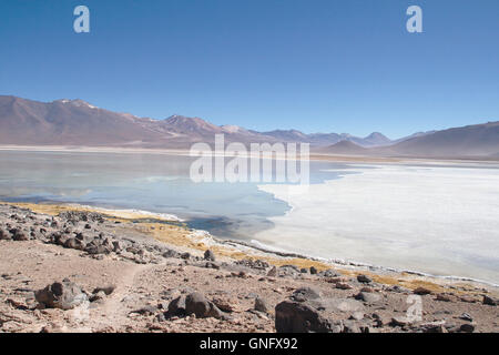 Laguna Blanca avec glace, dans le sud-ouest des Andes Bolivie Banque D'Images