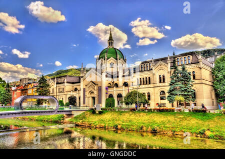 L'Académie des beaux-arts de Sarajevo, Bosnie et Herzégovine Banque D'Images