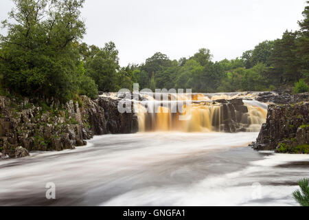 La force faible sur un jour d'été pluvieux, Bowlees, Teesdale, County Durham, Royaume-Uni Banque D'Images