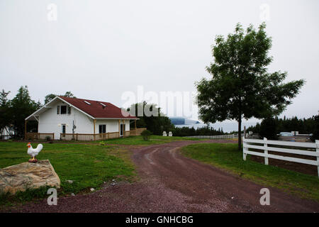 Sièges donnent sur l'océan à la maison du docteur Inn and Spa at Green's Harbour, à Terre-Neuve et Labrador, Canada. Banque D'Images