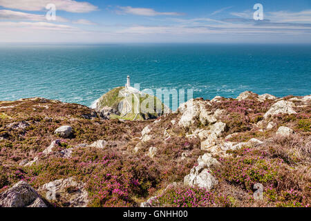 Phare de South Stack, Anglesey, Pays de Galles, Royaume-Uni Banque D'Images