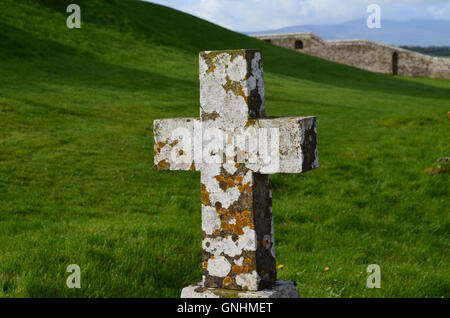 Lichen couvrant presque entièrement une croix de pierre en Irlande. Banque D'Images