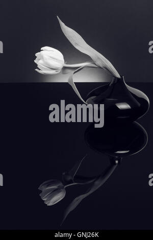 Dans un vase avec des tulipes monochromes de réflexion Banque D'Images