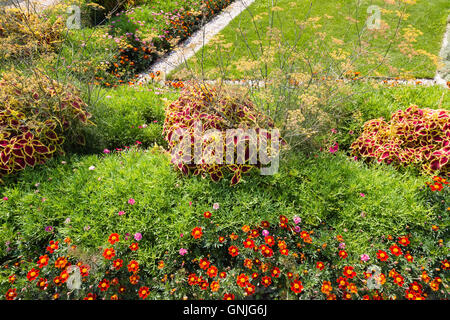 Avec orangerie serre adjacente au château Schloss hof, Basse Autriche Banque D'Images