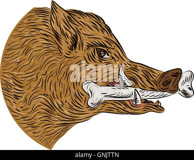 Le Sanglier Razorback os dans le dessin de la bouche Illustration de Vecteur