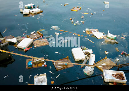 La pollution marine, des déchets et d'ordures, de poissons morts flottant dans la mer, l'Espagne. Banque D'Images