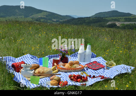 Avec un délicieux pique-nique propagation de fruits frais, pâtisseries, du lait, du fromage sur une nappe blanche et bleue on meadow Banque D'Images
