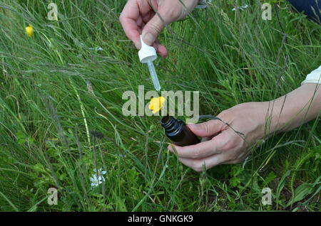 Hands holding a ouvert la bouteille de recours à la pipette au-dessous de la montagne et de l'herbe jaune fleur Banque D'Images