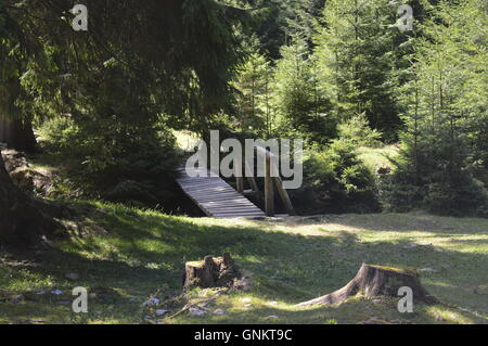 Un pont de bois sur une rivière dans une clairière Banque D'Images