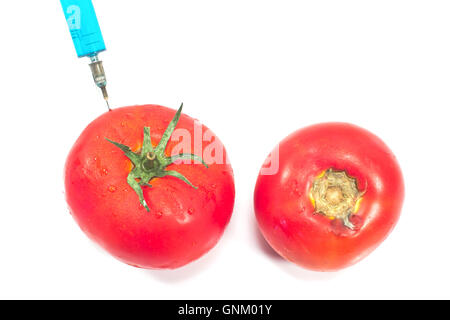 Aliments génétiquement modifiés et tomates tomates biologiques isolated on white Banque D'Images