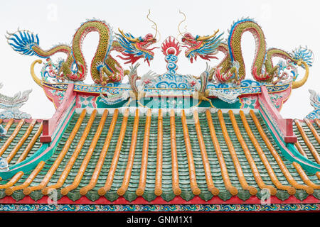 Dragon chinois et le faisan sur le toit du sanctuaire. Isolées. Banque D'Images