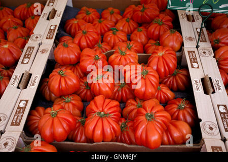 Boîtes de grosses tomates Oxheart sur un stand du marché français Banque D'Images