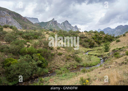 Une vue sur la rivière Rio del Lago, dans la réserve naturelle de Somiedo, Asturies, Espagne Banque D'Images