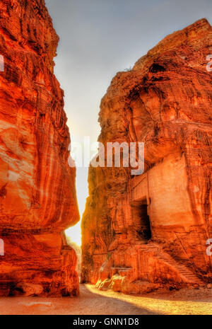 Rochers de grès dans la Siq à Pétra Banque D'Images