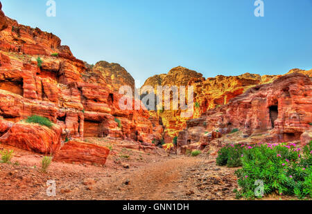 Jeihoon Wadi, le chemin vers le monastère El Deir à Petra Banque D'Images