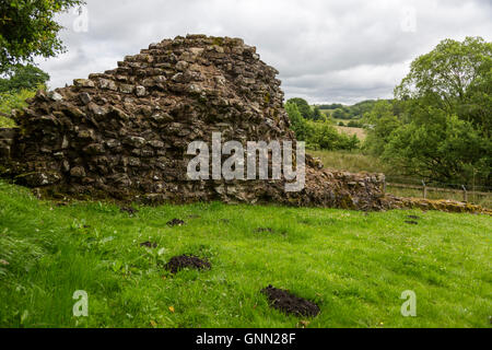 Hare Hill, Cumbria, England, UK. Une section du mur d'Hadrien, reconstruit au 19ème. Siècle. Banque D'Images