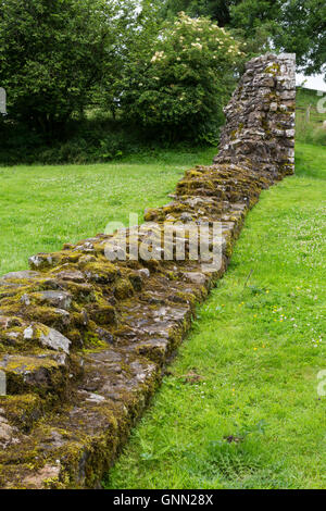 Hare Hill, Cumbria, England, UK. Une section du mur d'Hadrien, reconstruit au 19ème. Siècle. Banque D'Images