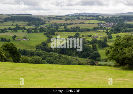 Cumbria, Angleterre, Royaume-Uni. Voir au sud du mur d'Hadrien, sentier, à proximité des banques, entre in Rivière-ouelle et Gilsland. Banque D'Images