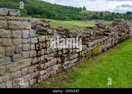 Northumberland, England, UK. Fort romain de Vindolanda, la construction du mur. Banque D'Images