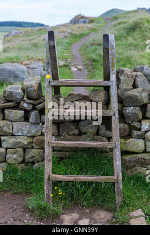 Northumberland, England, UK. Une échelle montant sur un mur de pierre de l'agriculteur sur mur d'Hadrien (Sentier Pennine Way). Banque D'Images