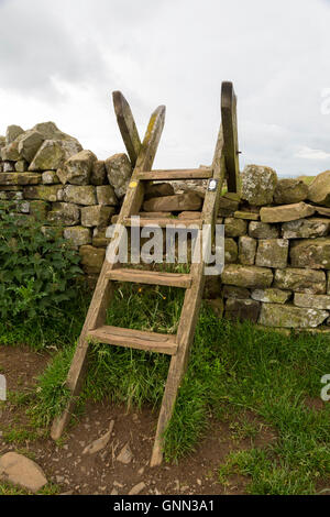 Northumberland, England, UK. Une échelle montant sur un mur de pierre de l'agriculteur sur mur d'Hadrien (Sentier Pennine Way). Banque D'Images