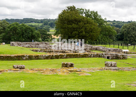 Northumberland, England, UK. (Cilurnum Chesters) Roman Fort, commandant's House. Banque D'Images