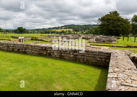 Northumberland, England, UK. (Cilurnum Chesters Roman Fort), à la maison du commandant vers. Banque D'Images