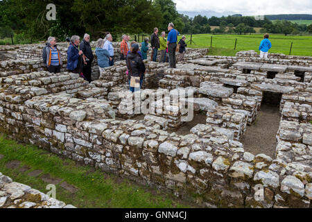 Northumberland, England, UK. (Cilurnum Chesters) Roman Fort. Tour guide décrivant la vie dans la maison du commandant. Banque D'Images