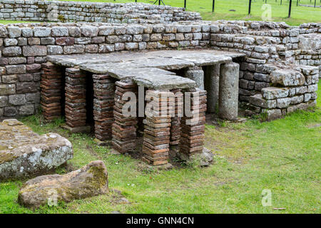 Northumberland, England, UK. (Cilurnum Chesters) Roman Fort. Remplacement des colonnes de briques quand romains réparé Bath House étage. Banque D'Images