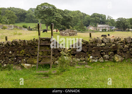 Northumberland, England, UK. Stile de l'échelle de l'agriculteur au cours de clôture sur mur d'Hadrien, sentier, près de Lechlade. Banque D'Images