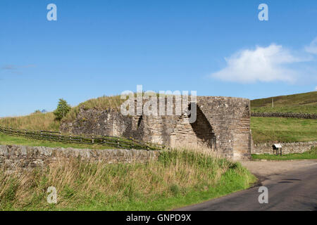 Le Crindledykes à limekiln désaffecté, ci-dessous Barcombe Hill, Thorngrafton commun, Northumberland, England Banque D'Images