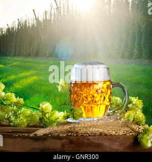 Verre de bière et la matière première pour la production de bière Banque D'Images