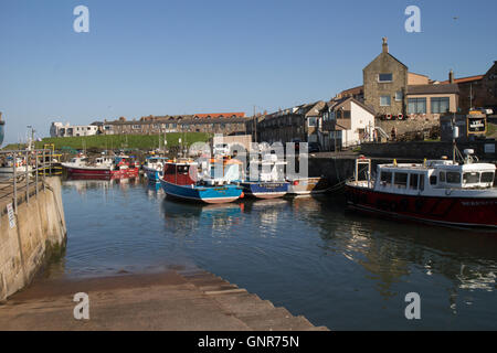 Iles Farne voyage touristique des bateaux et des bateaux de pêche dans le port de Seahoses Grande-bretagne Angleterre Northumberland Banque D'Images