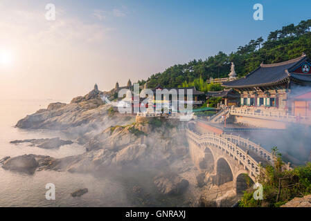 Haedong Yonggungsa Temple à Busan, Corée du Sud. Banque D'Images