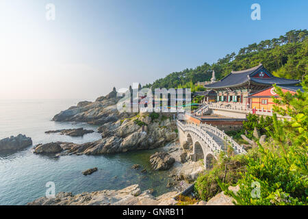 Haedong Yonggungsa Temple à Busan, Corée du Sud. Banque D'Images