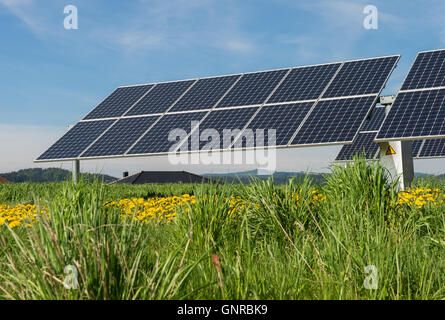 Ulrichsberg, Autriche, installations solaires sur un champ dans le coin supérieur Muehlviertel Banque D'Images