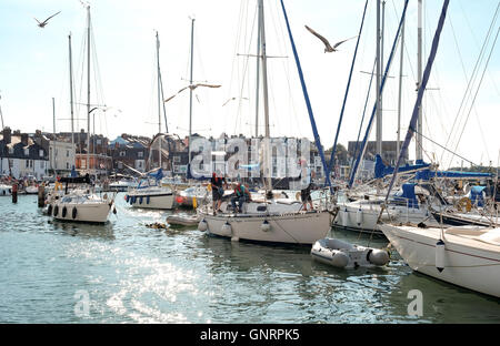 Yachts amarrés dans le port de Weymouth Quay Banque D'Images
