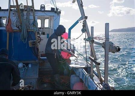 Tobermory, Royaume-Uni, shell pêcher avec son cutter au large de l'île de Mull Banque D'Images