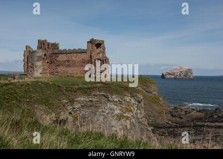 North Berwick, Royaume-Uni, regardez le Château de Tantallon et Bass Rock Banque D'Images