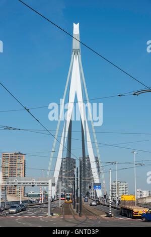 ROTTERDAM, Pays-bas-Août 31, 2016 : Erasmus avec l'horizon de la ville Rotterddam le 31 août 2016 à Rotterdam,ce Banque D'Images