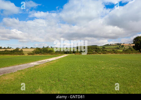 Une voie au travers de la ferme de pierre vertes prairies dans la mosaïque du paysage du Yorkshire Wolds en été. Banque D'Images