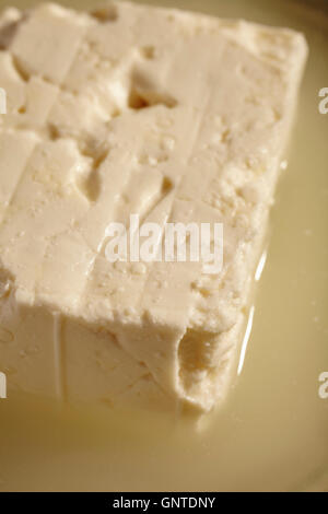 Un bloc de lait de brebis grec le fromage feta en saumure Banque D'Images