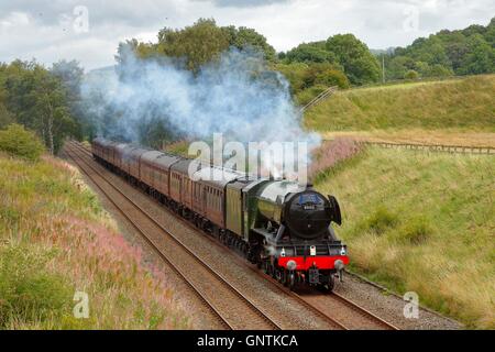 Flying Scotsman train à vapeur. Dans un Morralee à coupe, Bardon Mill, Newcastle & Carlisle Railway (N&CR), Northumberland, England Banque D'Images