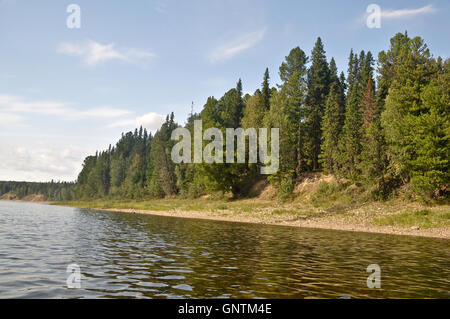 La forêt sur les rives de la rivière de la taïga. Parc national de Yugid-VA dans le Nord de l'Oural. Le site de l'UNESCO forêts vierges de Komi. Banque D'Images