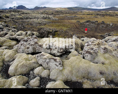 Lambafitjarhraun coulée de près de Landmannahellir, Islande Banque D'Images